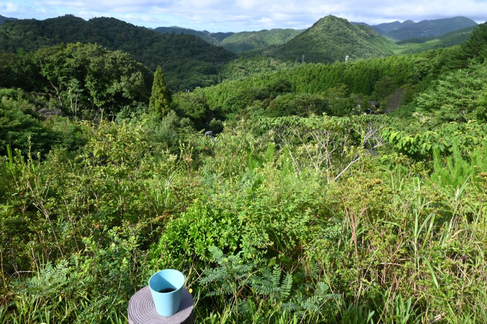 パノラマビューを前にモーニングコーヒー