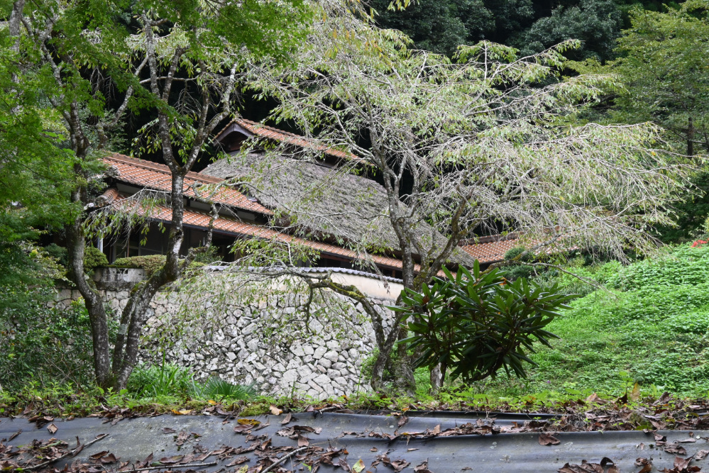 日本昔話のような世界でお食事ができる!『かじかの里 美濃吉』