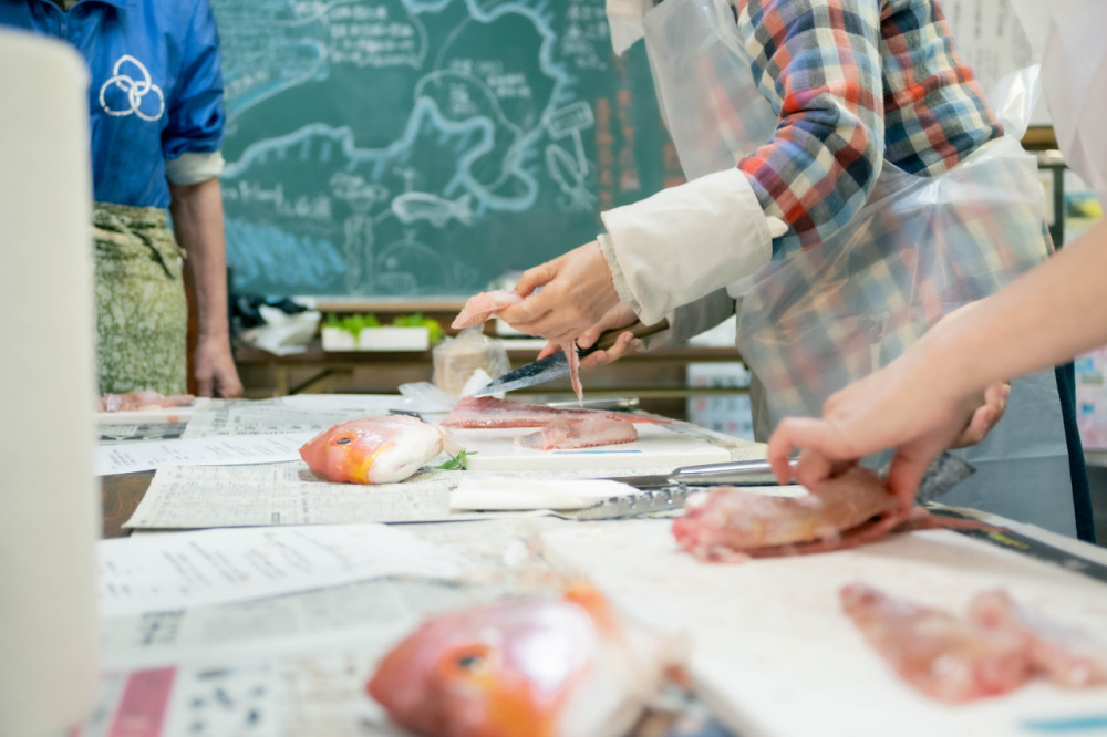 他にもあります！青海島共和国の体験プログラム