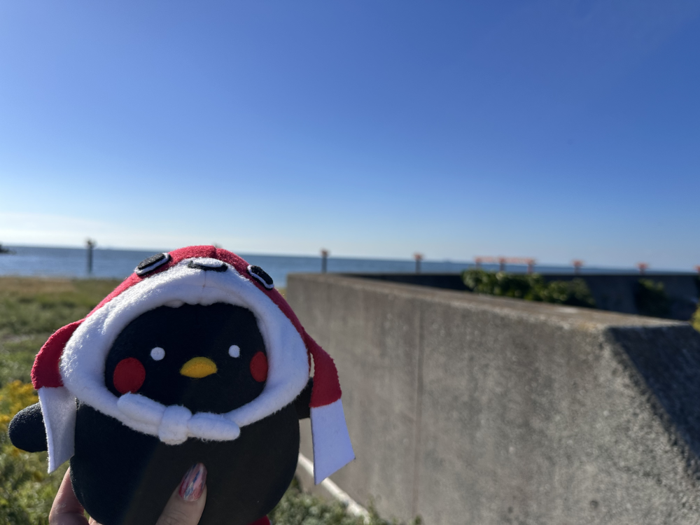 堤防の向こう側が、RWY07エンドです！