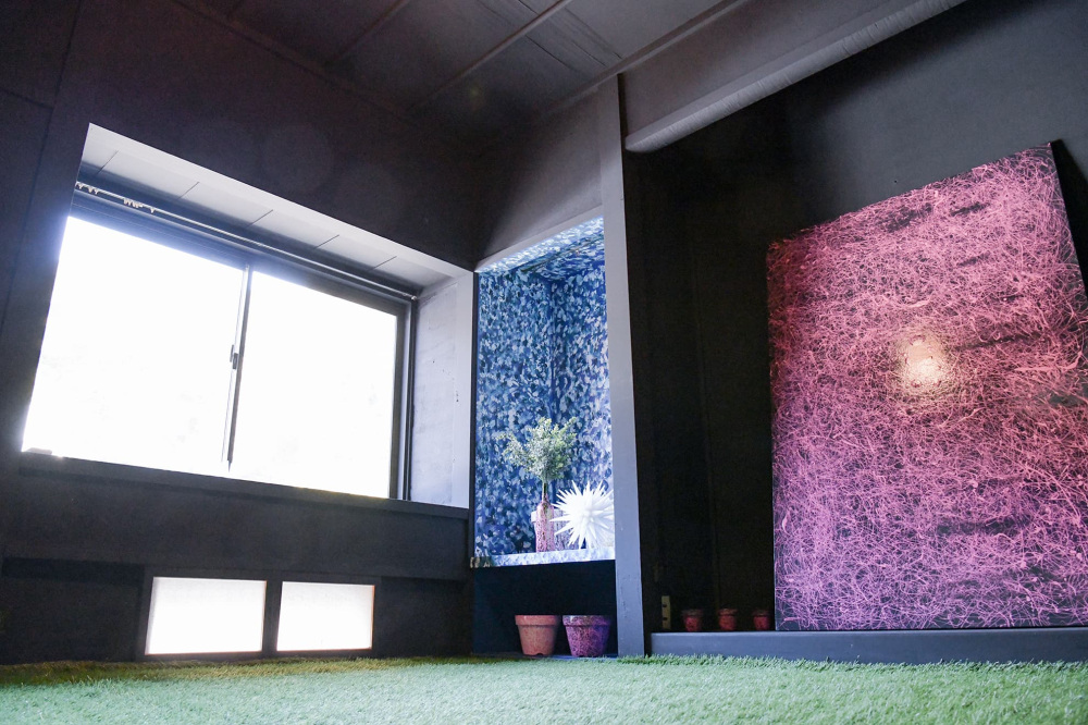 コンセプトルーム「共存」