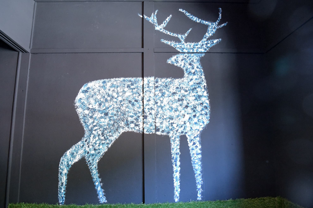 コンセプトルーム「共存」