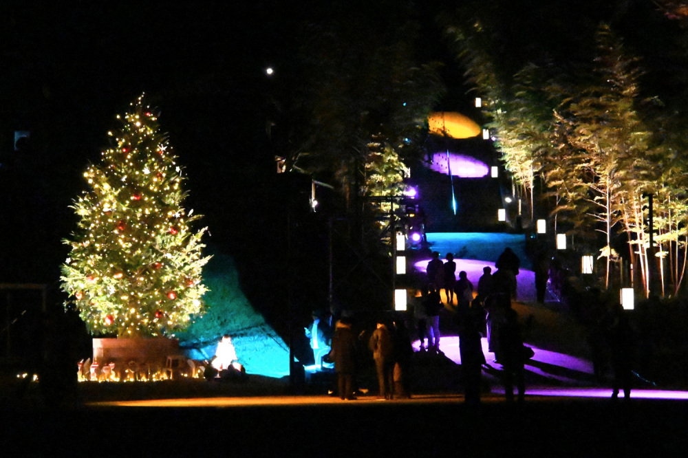 色とりどりの光のダンスや