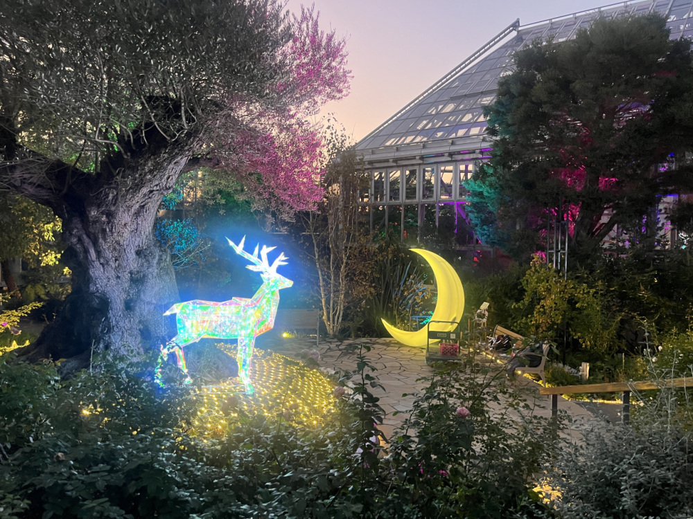 ときわミュージアムも見どころたくさん！期間限定イベントも