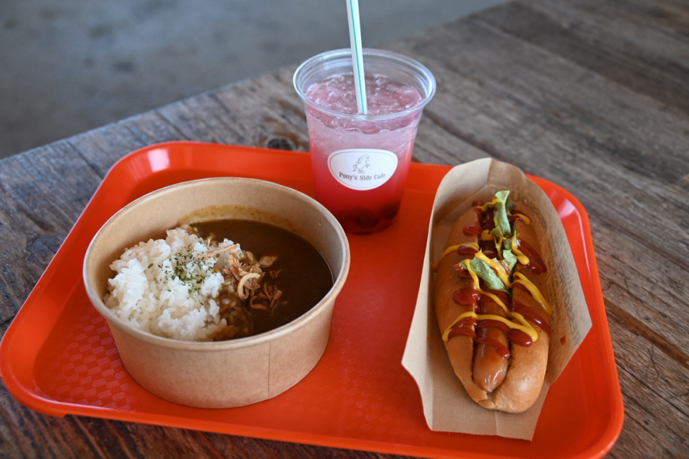 カレーライス 700円/やまももスカッシュ 450円/ホットドッグ 500円