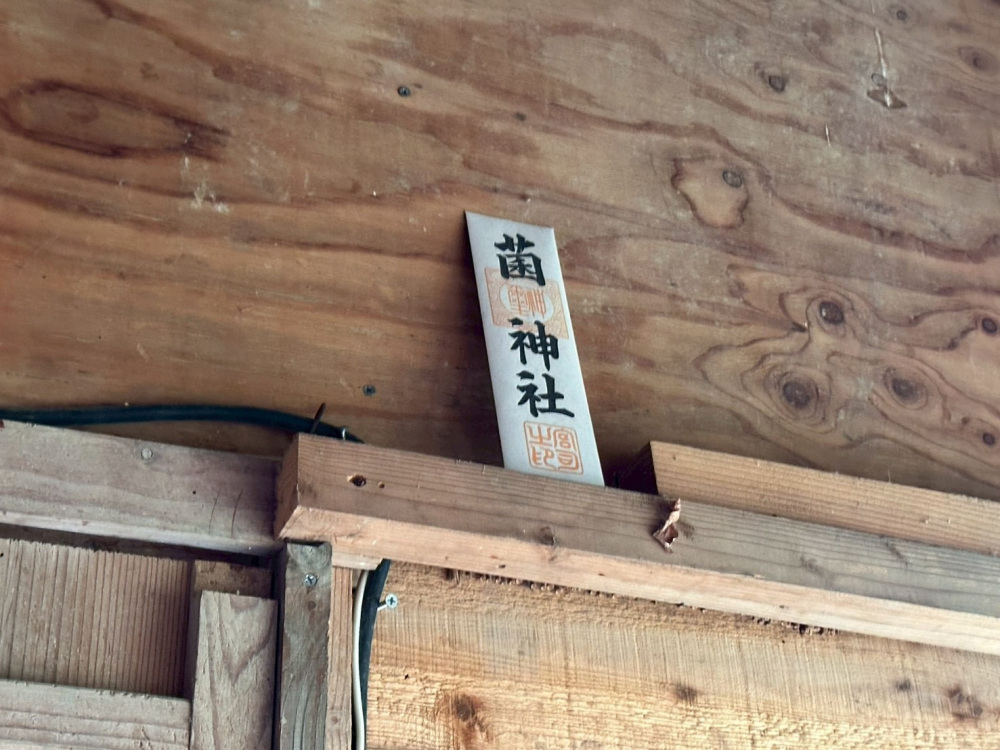 こんなところにもきのこへの思いが溢れる!