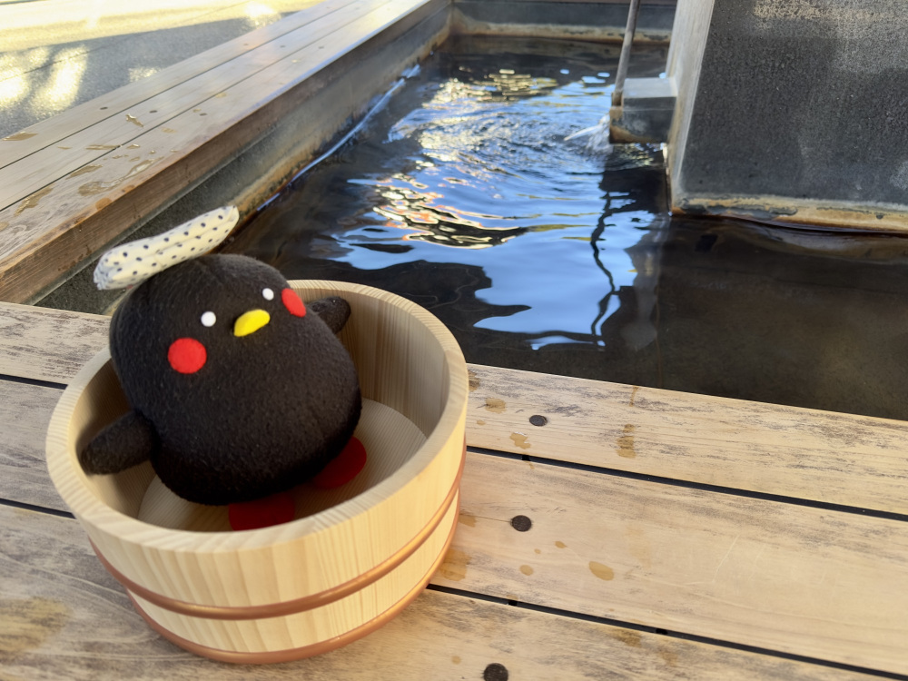 山口県は温泉の宝庫！