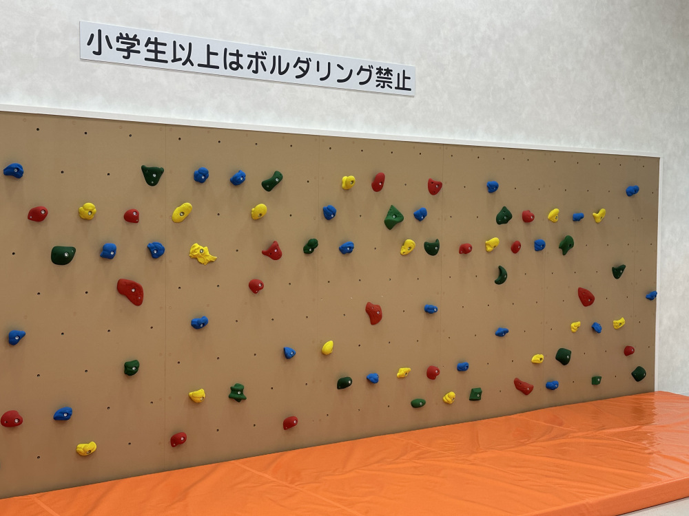 壁にはボルダリング