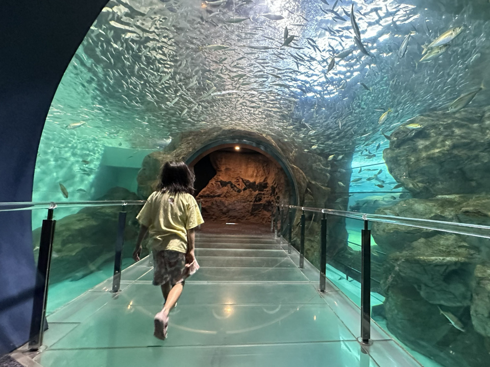 海中トンネル