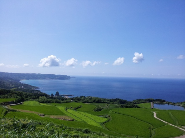 東後畑棚田