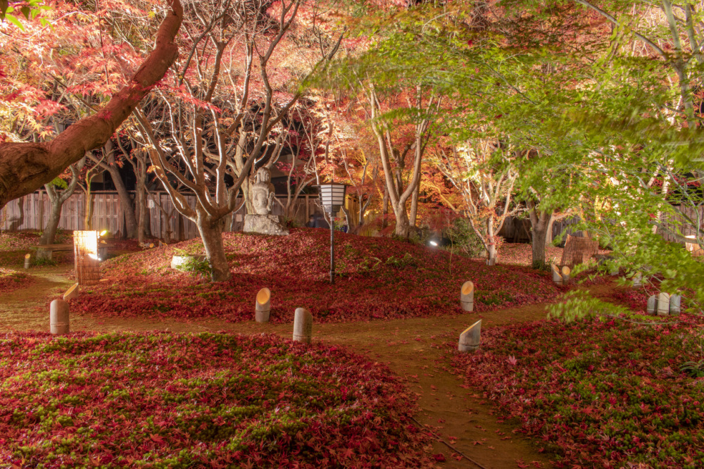 宇野千代生家 紅葉ライトアップ