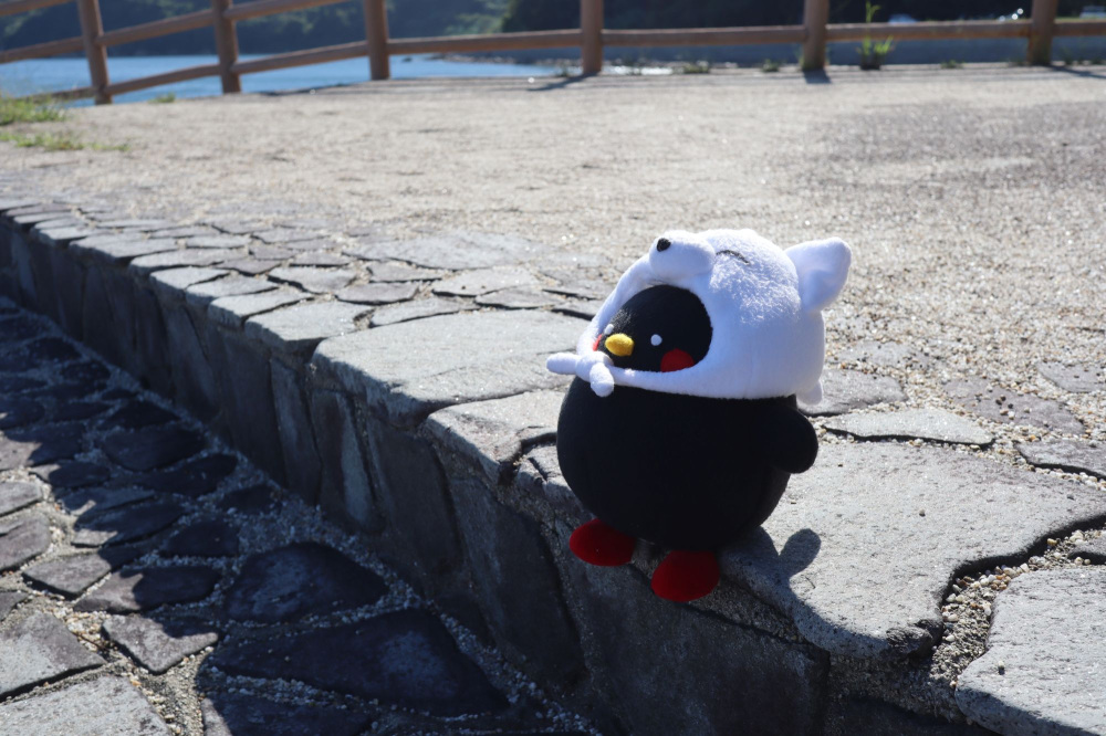 かしわちゃんの一言日記