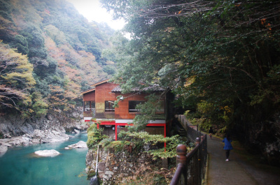 山口県屈指の紅葉名所『長門峡』へ子どもとハイキング♪ランチやSLやまぐち号情報も！