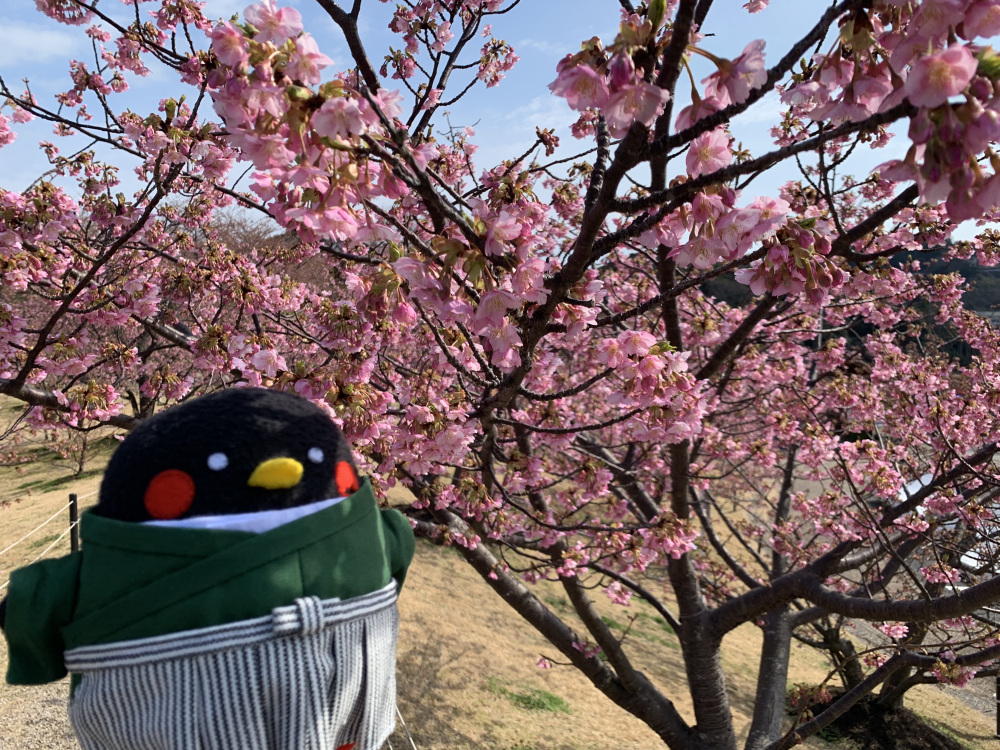 【山口県上関町】グルメ・温泉・絶景・人気の道の駅まで…山口県最南端の歴史の町を日帰り観光！