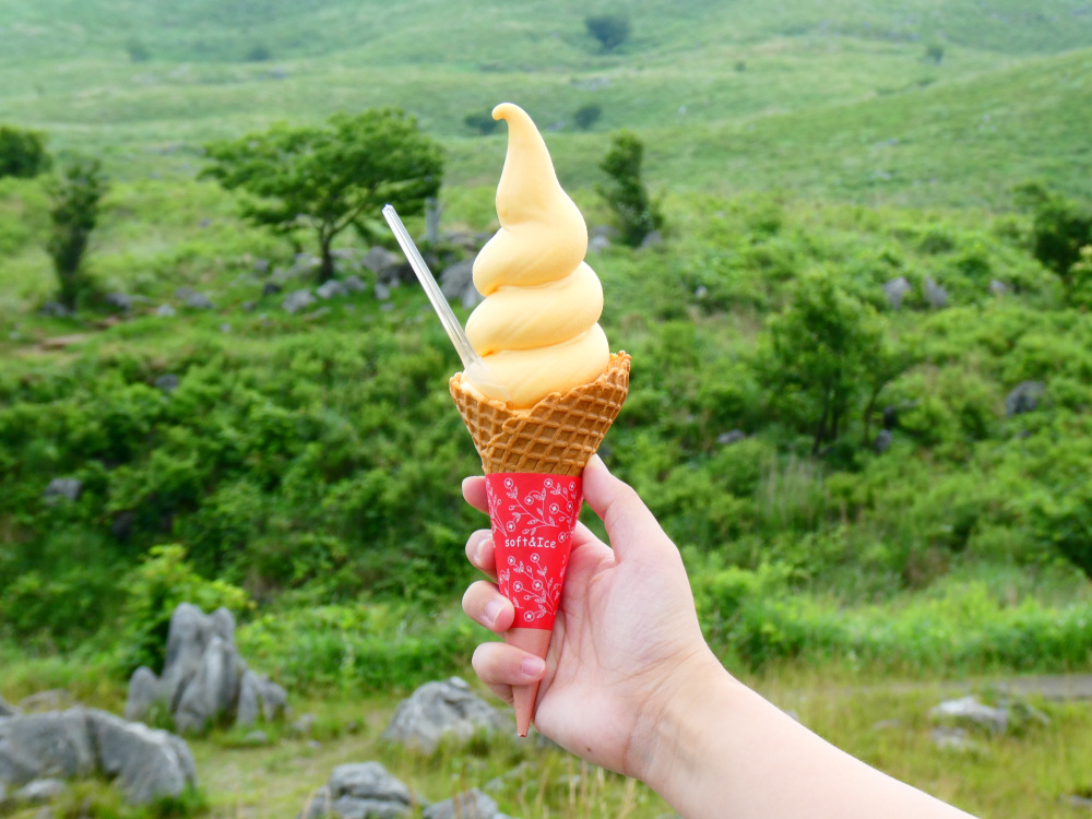 【山口県】おすすめ＆人気のご当地ソフトクリーム5選（山口市・美祢市・宇部市編）