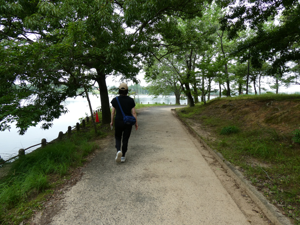 山口県宇部市｜常盤湖(ときわ湖)一周コースで花と彫刻を楽しみながらのんびりウォーキング