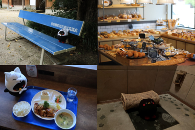 山口県田布施町｜ランチ・パン・神社・岩盤浴で心も体も整う休日✨リフレッシュ旅におすすめのスポット4選