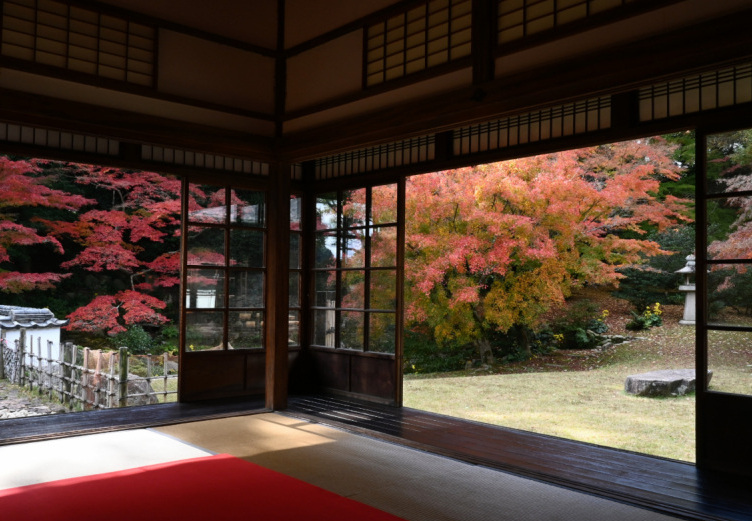 【下関市・長府】秋の観光におすすめ!紅葉名所めぐり|功山寺・長府庭園+周辺スポット散策ガイド