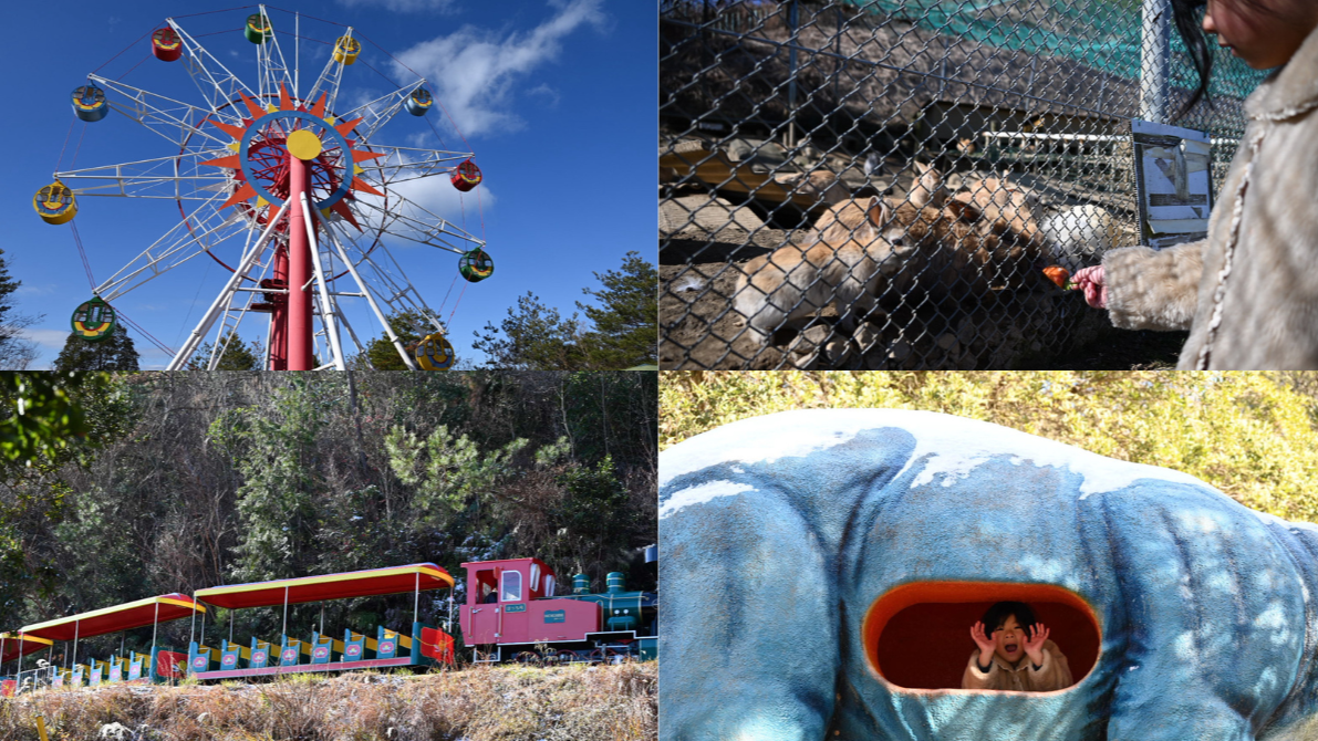 蜂ヶ峯総合公園体験レビュー|観覧車・アスレチック・ミニ動物園など子連れに人気!