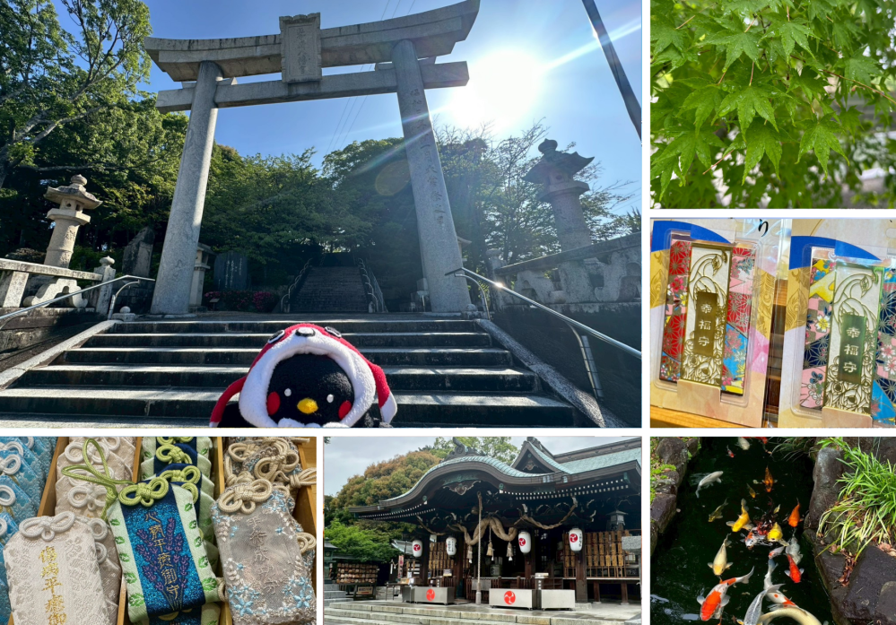 宇部市|琴崎八幡宮の見どころ完全ガイド!1000種類以上のお守り・御朱印・境内めぐりを楽しむ神社さんぽ