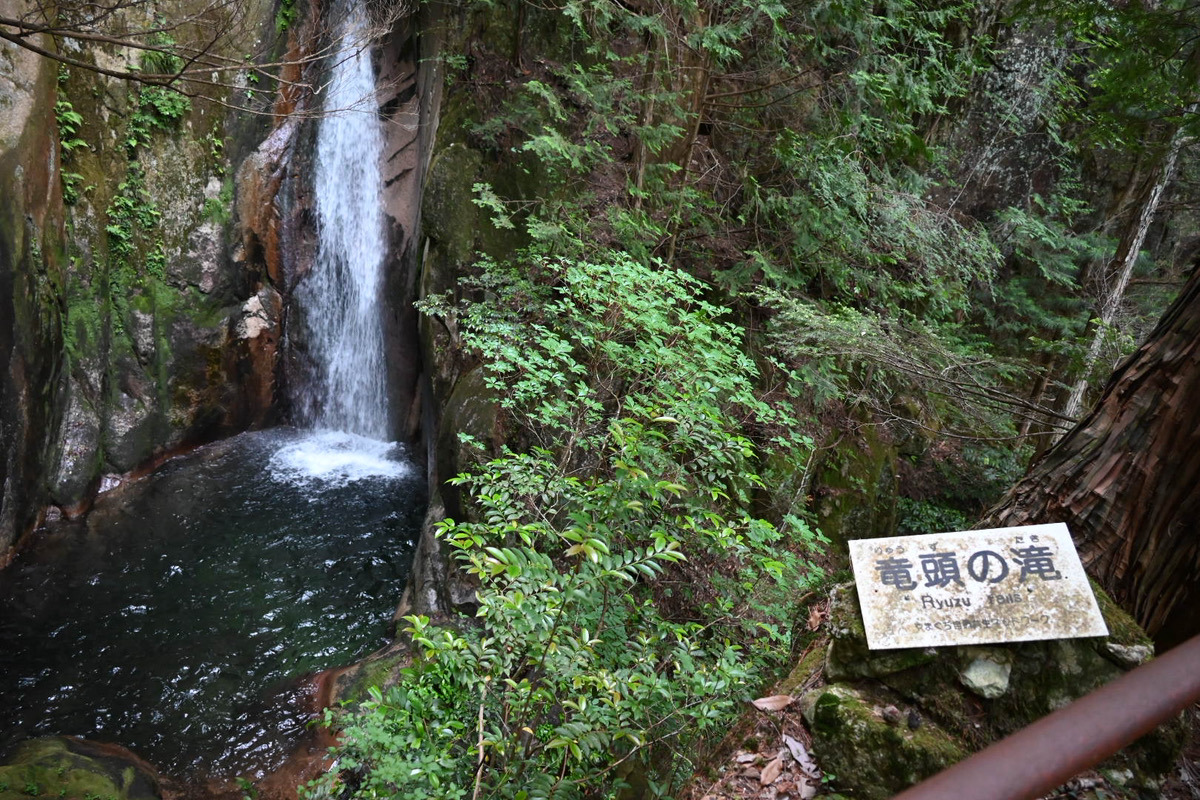 涼しい!山口県岩国市の避暑地「寂地峡」で五竜の滝を満喫♪体験レビュー