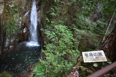 涼しい!山口県岩国市の避暑地「寂地峡」で五竜の滝を満喫♪体験レビュー