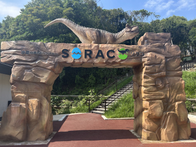 恐竜の森アドベンチャーSORACO(ソラコ)へ!料金・アスレチック・所要時間を実際に行ってレビュー【宇部市】