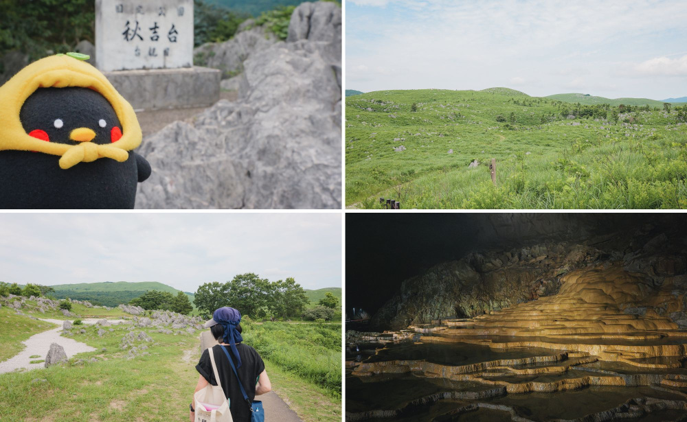 美祢市│ 「白」の石灰岩でできた秋吉台・秋芳洞の大地の歴史を紐解くジオツアーを体験│Mine秋吉台ジオパーク[PR]