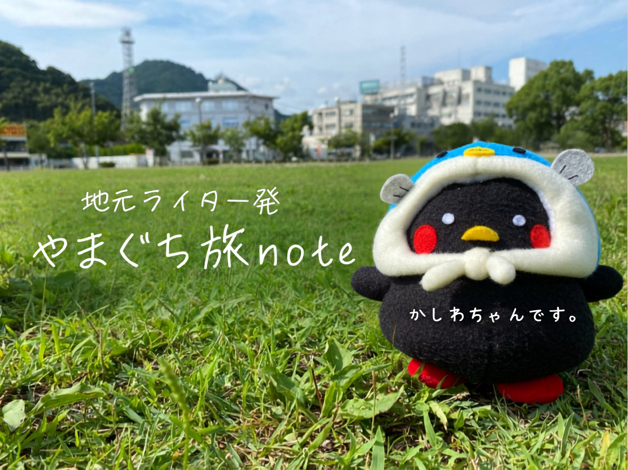 かしわちゃんのプロフィール