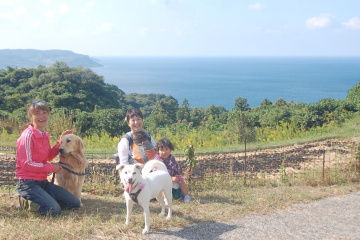 犬連れで山口温泉旅行へ！角島・秋吉台を巡るペット可の1泊2日モデルコース