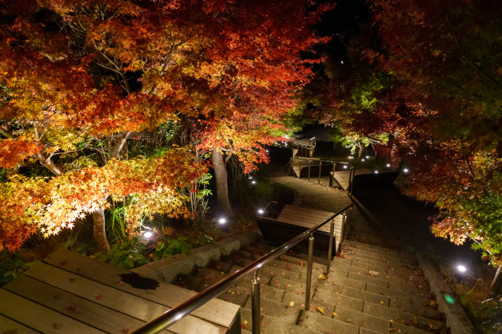 紅葉見ながらBARを楽しむ