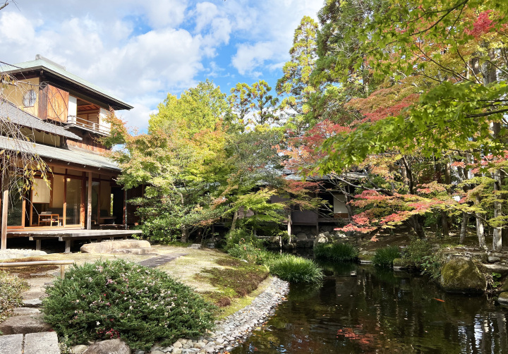 防府の紅葉スポット&ランチ情報