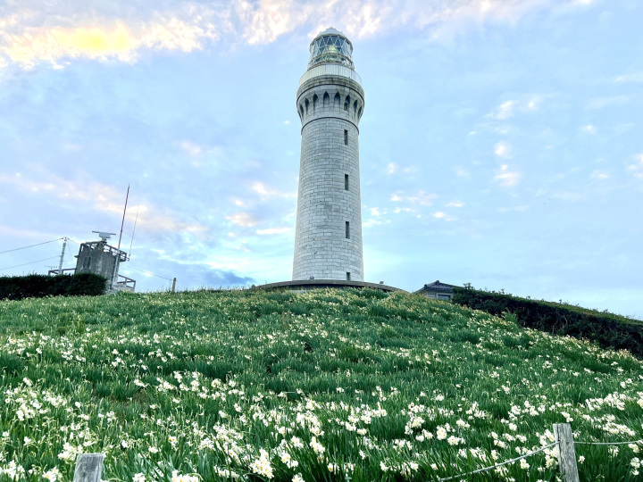 \おすすめの絶景 角島灯台+水仙!/