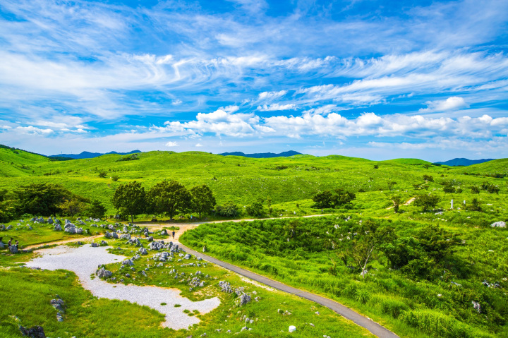 日本最大級!カルスト台地「秋吉台」と鍾乳洞「秋芳洞」の歴史と楽しみ方