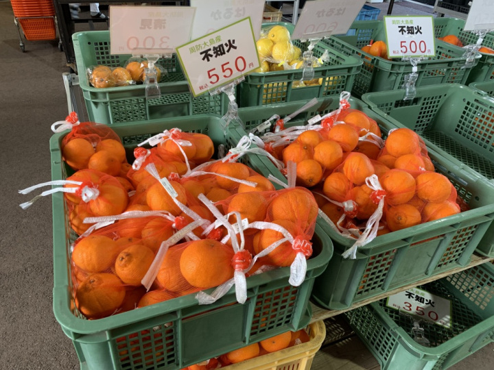 周防大島みかん