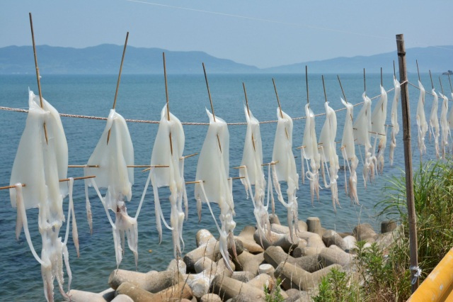 須佐男命いか横丁で、須佐の海の恵みをお買い物！