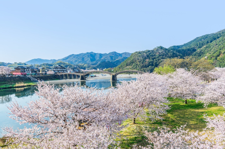 春の遊覧船「さくら舟」