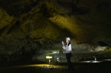 「秋吉台科学博物館見学」<br />
または<br />
「化石採集（120名）」または「暗闇の景清洞洞窟探検（150名）
