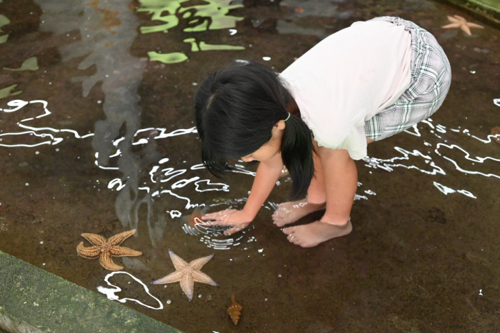 なぎさ水族館