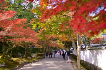 紅葉谷公園（おはん文学碑）