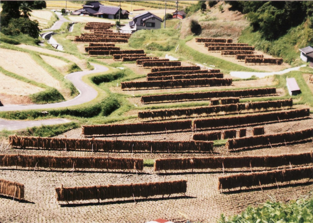 中須北の棚田