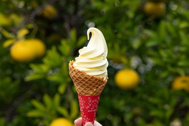 2 名物夏みかんソフトクリーム