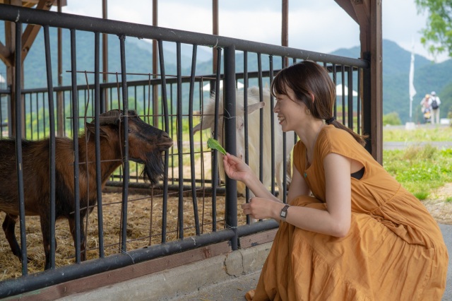 動物園＆水族館！可愛い生き物たちとふれあえる人気スポット