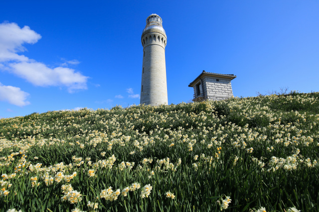 角島 冬の楽しみ方