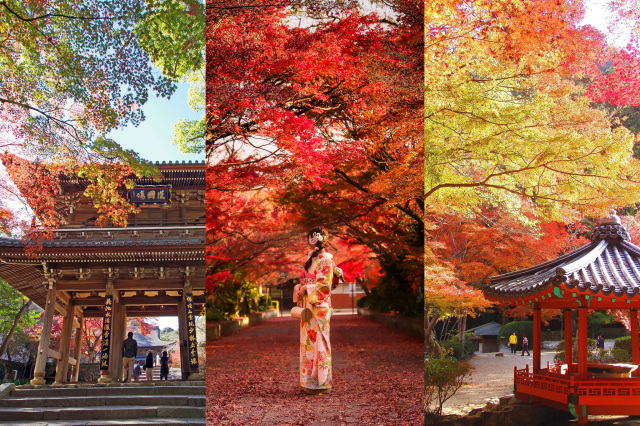 山口県のおすすめ紅葉名所