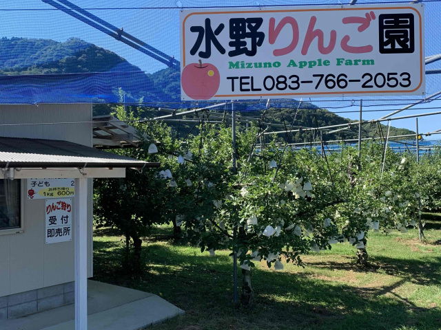 水野りんご園