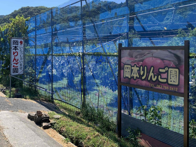 岡本りんご園