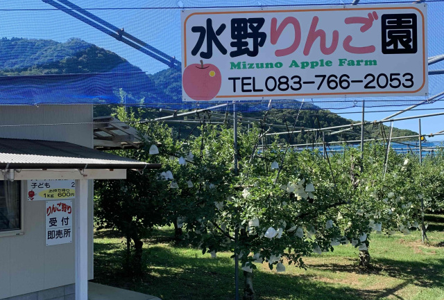 水野りんご園