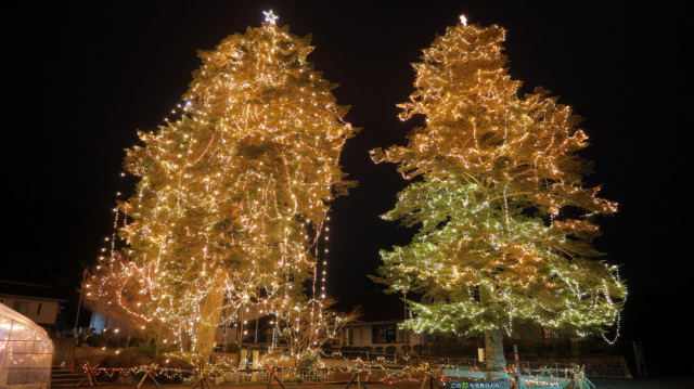 第32回クリスマスナイトフェスティバル