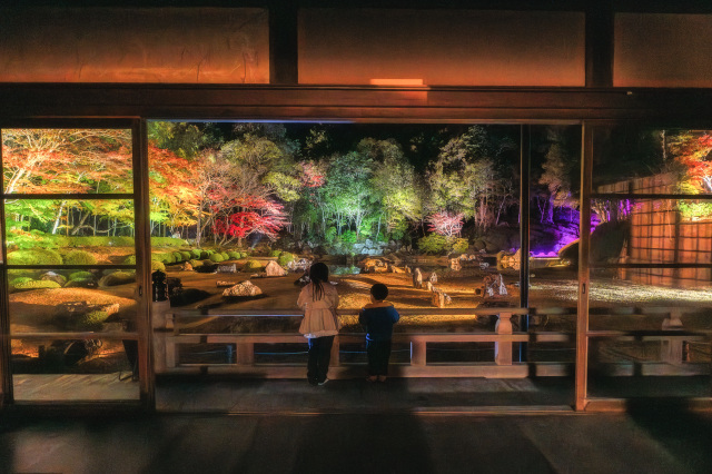 常栄寺雪舟庭　秋のライトアップ